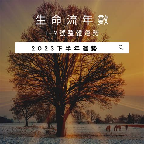 2023生命靈數流年3